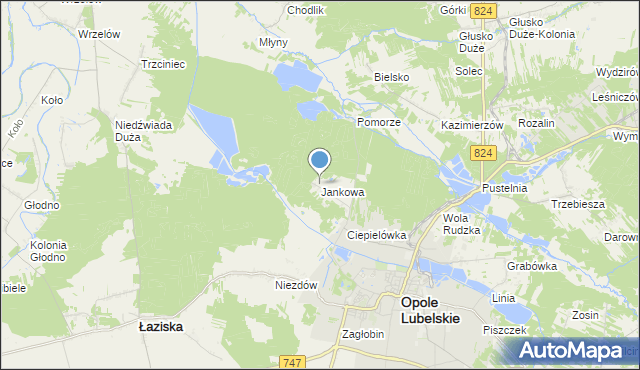 mapa Jankowa, Jankowa gmina Opole Lubelskie na mapie Targeo